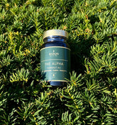 THE ALPHA