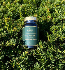 THE ALPHA