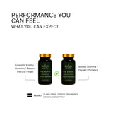 BundlesStacks - Performance