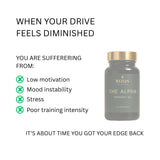 BundlesStacks - Testosterone