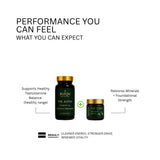 BundlesStacks - Testosterone